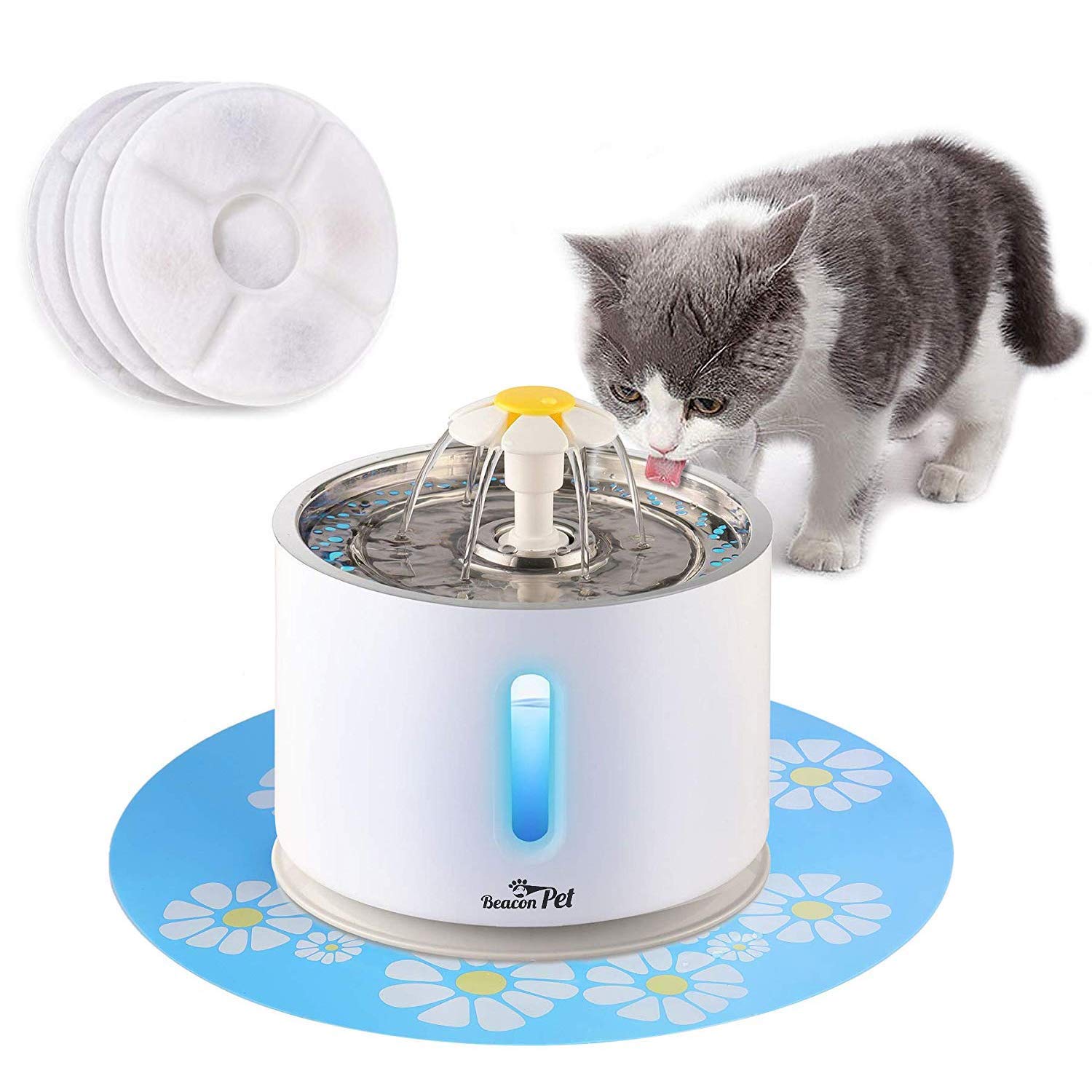 cat h20 fountain