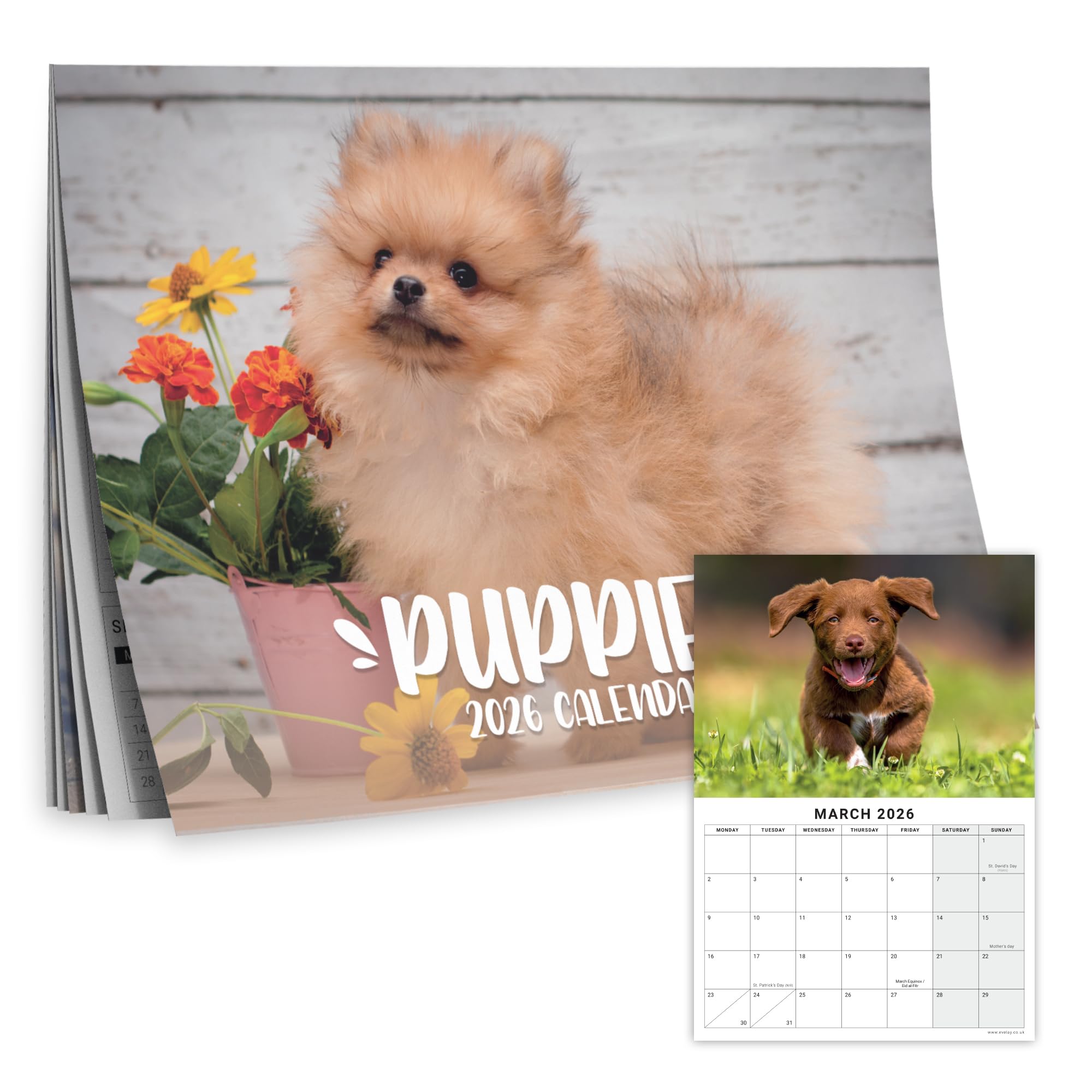 Calendar 2026 Puppies - Cute & Adorable Puppy Photos - Month to View UK Wall Planner, A3 When Open - 170gsm Silk Paper - Perfect Dog Lover Gift