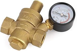 Topteng DN20 3/4" Brass Adjustable Water Pressure Reducing Regulator Valves with Gauge