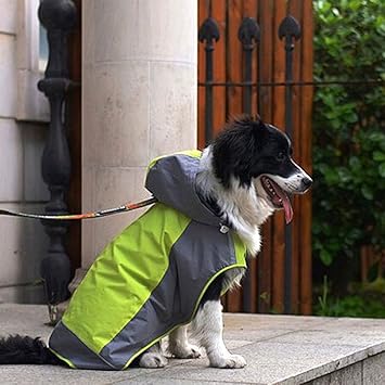 springer spaniel waterproof coat