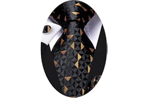 Hi-Tie Ties for Men Paisley Mens Tie Set Wedding Formal Business Striped Tie Sets