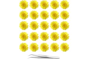 60Pcs Yellow Dried Daisy Pressed Flowers - YouthBro 60Pcs Real Nature Flowers Set for Resin DIY Jewelry Candle Soap Vase Making Nail Card Scrapbook Art Craft Floral Decors