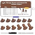 90Sets Chicago Screws Leather Rivets Assorted Screw Rivet M5 Chicago Leather Screw for Decoration and DIY Leather Craft Belt Bag Shoes Purse Bookbinding（M5*4,5,6,8,10,12） (Antique Copper)