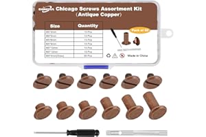 DNHOUL 90Sets Chicago Screws Leather Rivets Assorted Screw Rivet M5 Chicago Leather Screw for Decoration and DIY Leather Craft Belt Bag Shoes Purse Bookbinding（M5*4,5,6,8,10,12） (Antique Copper)
