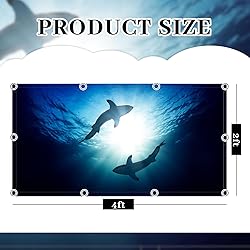 Patelai 4 x 2 Feet Fluorescent Light Cover for