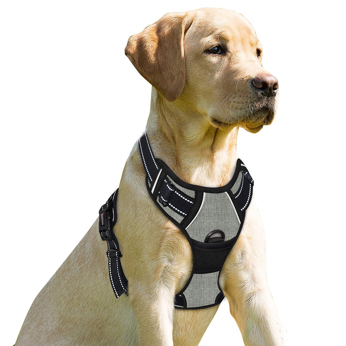 BARKBAY No Pull Dog Harness Large Step in Reflective Dog Harness with Front Clip and Easy Control Handle for Walking Training Running(Flint Gray,L)
