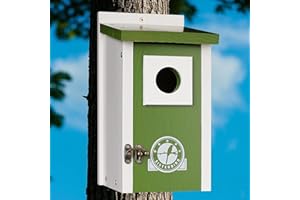 SISTERBIRD Bird Houses for Outside, Lime Green Bird House, Bluebird Houses for Outside, Garden Decoration Birdhouses for Outdoors, Bluebird Finch Swallow Wren Chickadee