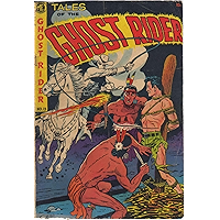 The Ghost Rider #13 book cover