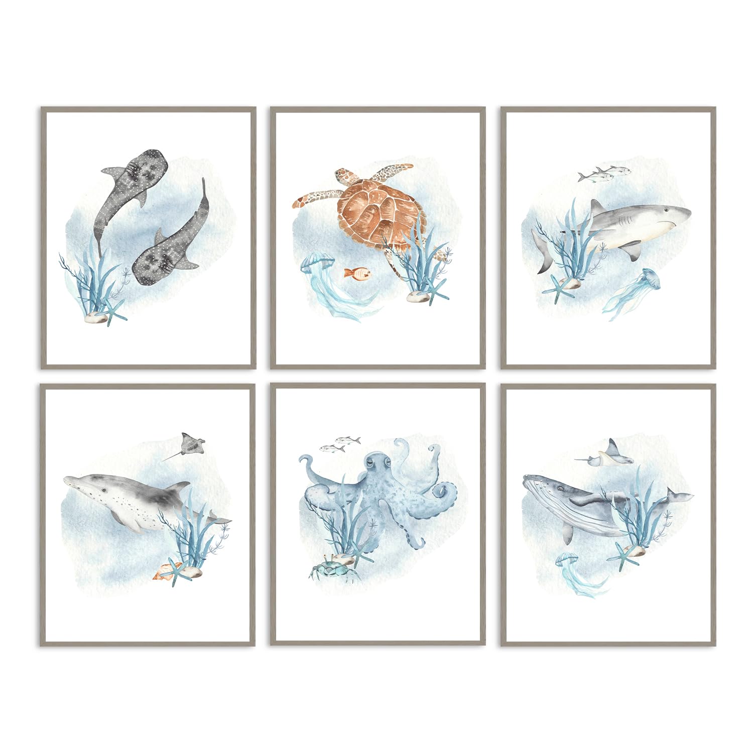 Photo 1 of Dazzlewall 6Pcs Kids Ocean Wall Art with Whale Shark Turtle Octopus, Underwater Sea Animal Posters for Nursery Bedroom Bathroom, Blue Marine Life Decor 8x10 in Unframed