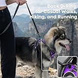 PoyPet No Pull Dog Harness Reflective Vest with 2 Leash Attachments (Purple, S) view 4