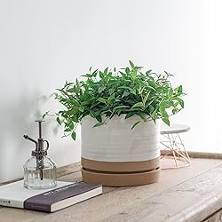HERDUK 8 Inch Pots for Plants, Ceramic Planter Pot