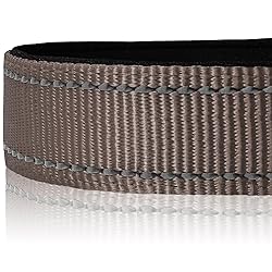 Joytale Reflective Dog Collar, Soft Neoprene