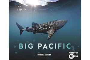 Big Pacific: Passionate, Voracious, Mysterious, Violent