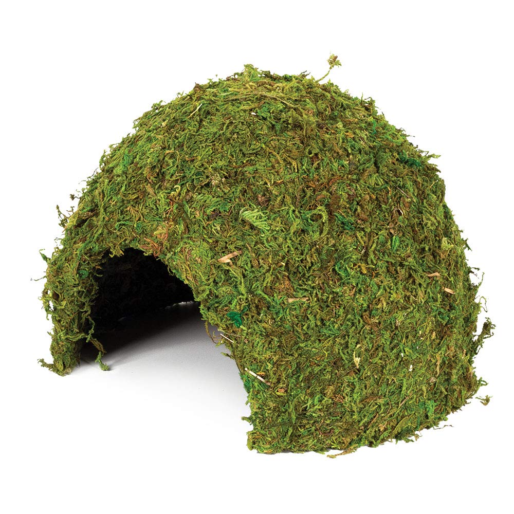 Komodo Natural Moss Cave Nesting Habitat Safe Durable Natural Looking Easy Clean Sheltered Hide Spot for Reptiles - Large