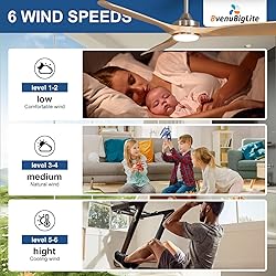 BvenuBigLite Outdoor Ceiling Fan with Light: 52