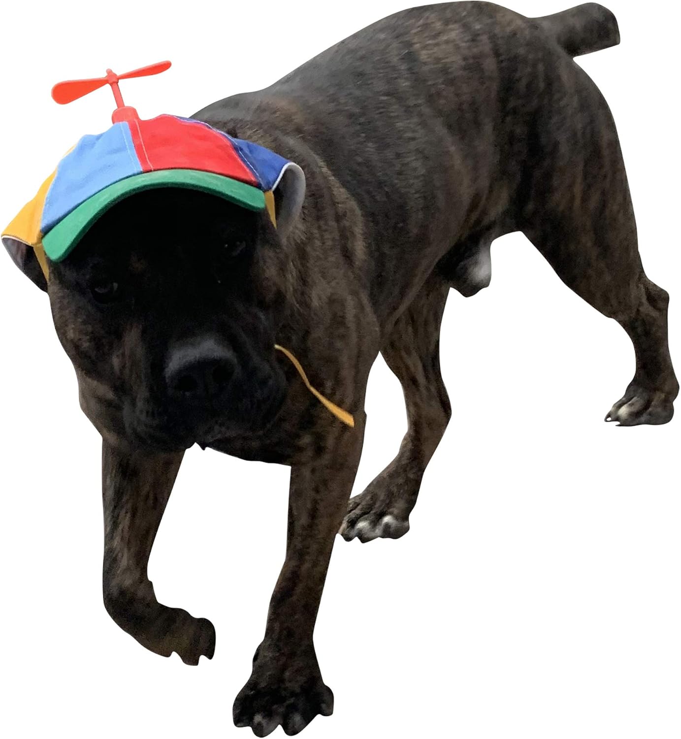 GEANBAYE Dog Hats with Funny Propeller, Size and Rope Double Adjustment Pet Hats for Small Middle and Large Dog (Iridescent) - Image 3