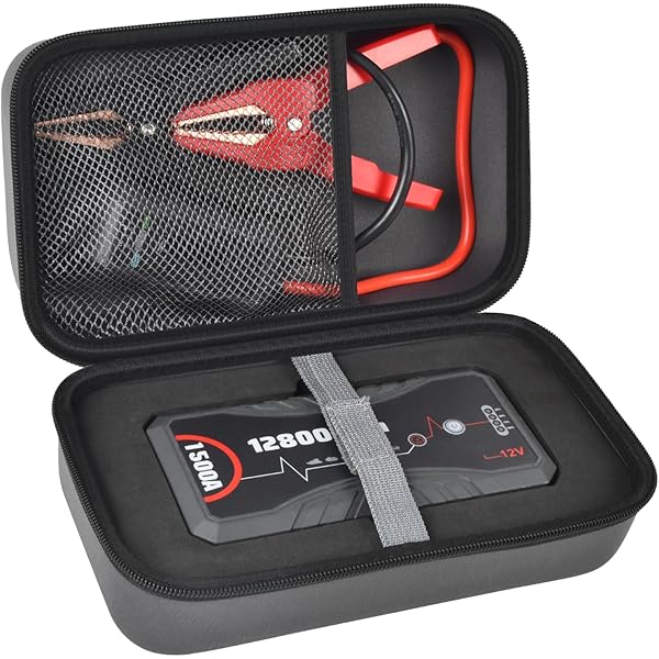 Amazon.com: Aproca Hard Storage Travel Case, for NEXPOW Q10S