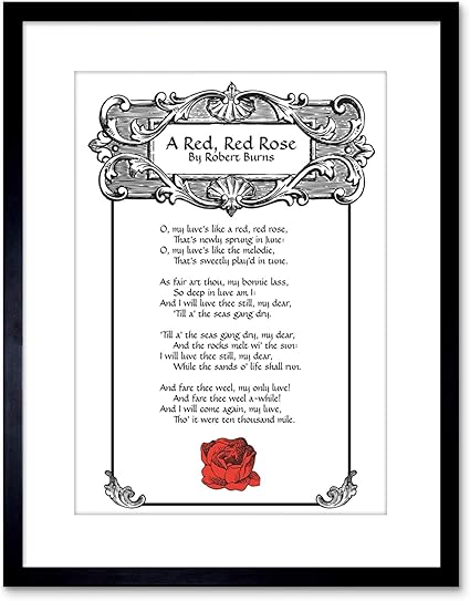 Quote Song Lyrics Red Rose Robert Burns Framed Print F97x6227 9 X 7 Inc 23 X 18 Cm Black F97x6227 Black Buy Online At Best Price In Uae Amazon Ae amazon ae