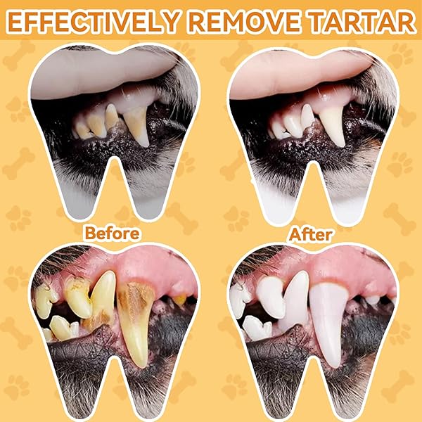 ERIGATHE DOG TEETH CLEANING WIPES FOR DOGS & CATS 60 COUNTS, DOG DENTAL FINGER WIPES REMOVE BAD BREATH, DOG TOOTH BRUSHING KIT WIPES REDUCING TARTAR BUILDUP & GUM CARE PET DOG TEETH WIPES