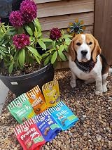 Laughing Dog Chewy Boosts 125g Chicken Ginger Dog Treats Training view 6