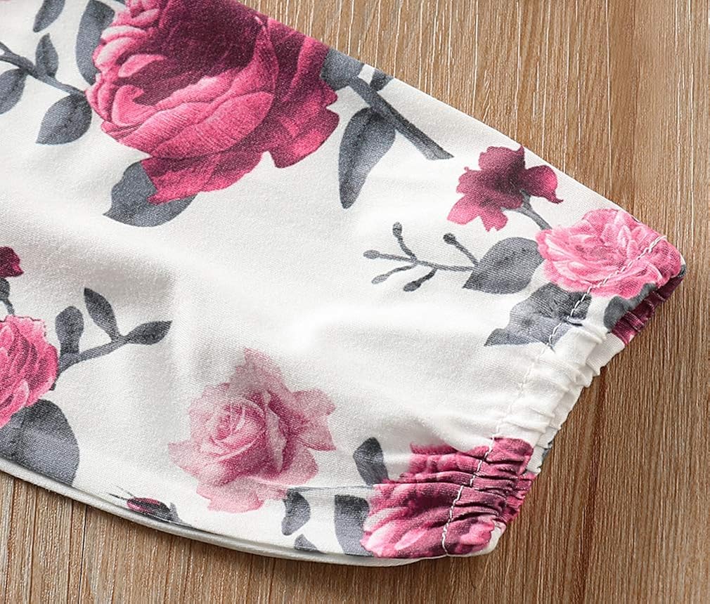 Baby Girls 3PCS Infant Toddler Clothes Romper Bodysuit Floral Halen Tops Pants Clothing Sets Headband Outfits: Clothing