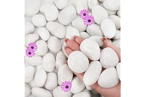 NUPICK 16lb White River Rocks for Outdoor Landscaping, 1-2 Inch Pebbles for Indoor Plants, Natural Polished Aquarium Gravel, Decorative Rocks for Succulent, Garden, Vases Fillers, Bird Baths