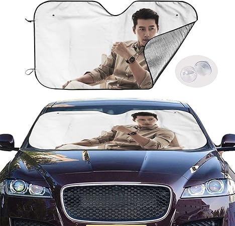 Amazon ヒョンビン1 車用 サンシェード 取り付けが簡単 軽量の日除け 吸盤4個付き 凍結防止 夏冬兼用 カバー 車用 サンシェード 落葉 雨 紫外線 汚れ ホコリ対策可能 130x70cm 車 バイク 車 バイク