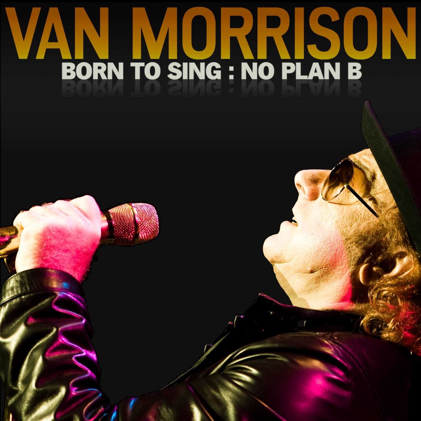 Image result for van morrison born to sing no plan b