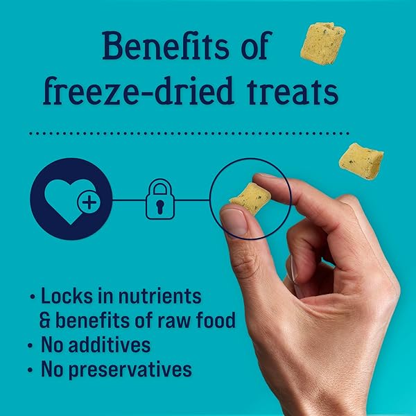 STEWART FREEZE DRIED DOG TREATS, SHINE SALMON & SWEET POTATO, MADE WITH OMEGA 3 & SALMON OIL, GRAIN FREE, 4 OUNCE RESEALABLE POUCH, MADE IN USA