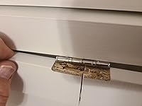 Review Image by Regulator