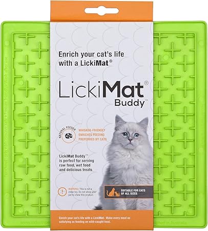 amazon cat slow feeder