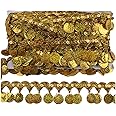 MIPPER 10 Yards Coin Shape Sequin Tassel Trim 1.77 Inch Width Fringe Lace Dance Dress Belt Chain DIY Clothing Ribbon (Gold)