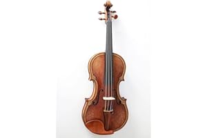 Crafted Scroll Royal Violin D Z STrad #511 w/ Special Purfling & Details