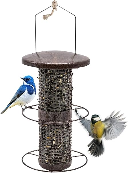 Amazon Com Sorbus Bird Feeder Circular Perch Hanging Feeder