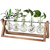 CFMOUR Plant Terrarium with Wooden Stand, Desktop Propagation Stations Glass Air Planter Metal Swivel Holder for Indoor Live Hydroponics Plants Office Home Garden Decor (5 Bulb Vase)