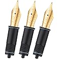 Asvine 3 PCS Fountain Pen Replaced Nibs, 6 Gold Plated EF/F/Medium Nib V169, P20, P30 and V126, NOT Fit P36
