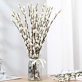 15 Stems Preserved PussyWillow, 17" White for Wedding Home &amp; Fireplace | Natural Plants Branches, Dried Flowers, Real Willows, Indoor Outdoor Decor, Party DIY Floral Art, Vase Fillers, Spring Easter