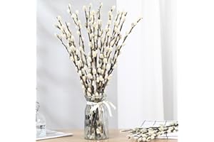 TAVKITE Natural Preserved Dried PussyWillow Branches for Vases, 15 Stems Real Willows, 17" Snow Pussywillows, Dried Flowers for Indoor and Outdoor Decor, Wedding Home DIY Floral Art Plants Fireplace