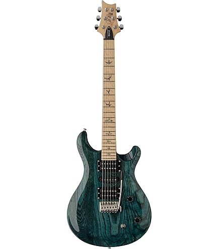Amazon.com: PRS SE Custom 24 Exclusive with Gig Bag, Black