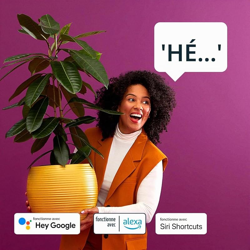 Guirlande Lumineuse Connectée, 16 millions de couleurs et nuances de blanc, 15 mètres, Idéal pour un utilisage extérieur (IP65), Compatible Alexa, Google Assitant et Apple HomeKit