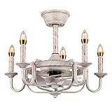 MADSHNE Ceiling Fan with Lights and
