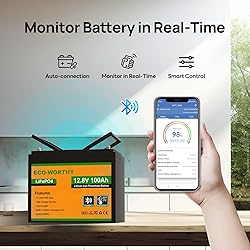 ECO-WORTHY 12V 100AH LiFePO4 Lithium Battery with