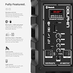 Dolphin SP-807RBT Bluetooth Karaoke