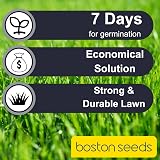 Boston Seeds Fast Growing Grass Seed 20kg Hard Wearing Lawn Seed view 4