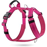 APakBak No Pull Dog Harness with Handle, Reflective Soft Mesh Padded Vest | Adjustable for Small Medium Large Dogs, Easy Walk Harness with Front Clip, for Training, Running &amp; Outdoor, Hot Pink, S