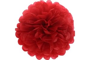 Lightingsky 10pcs DIY Decorative Tissue Paper Pom-poms Flowers Ball Perfect for Party Wedding Home Outdoor Decoration (4-inch Diameter, Red)