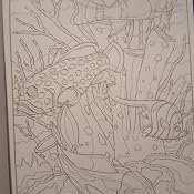 Amazon.com: Creative Haven Sea Life Color by Number Coloring Book