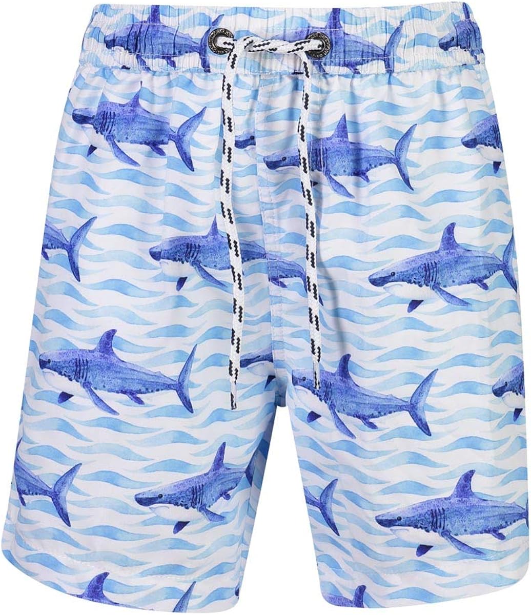 Snapper Rock Boys Boardies