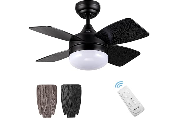 Ceiling Fans