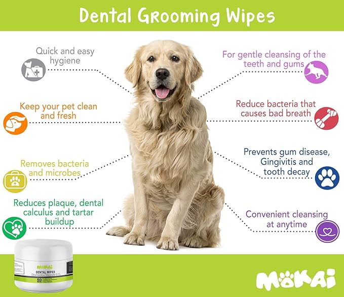 dog teeth cleaning pads